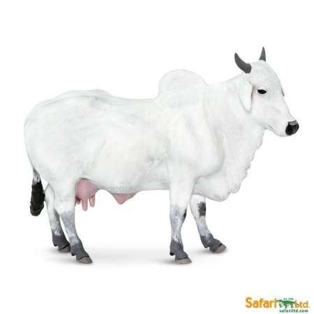 Hot Product Safari Ltd. : SFR100150 โมเดล Ongole Cow ของใหม่ยอดฮิต