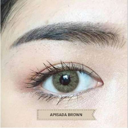 sweety plus คอนแทคเลนส์ แบบแฟชั่นสายตาปกติ รุ่น Apisada  brown สีน้ำตาล พร้อมตลับใส่ 1 คู่