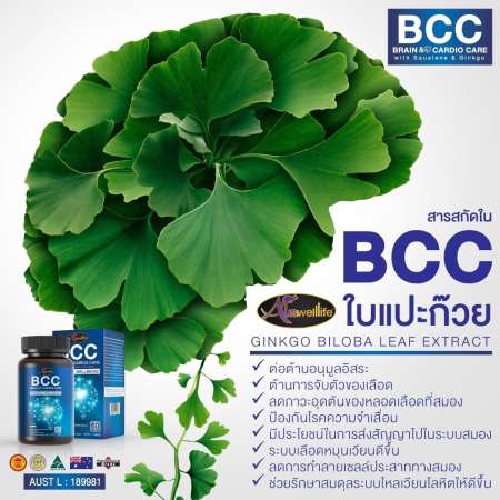 Auswelllife BCC (Brain  Cardio Care) with Squalene  Ginkgo อาหารเสริม บำรุงสมองและระบบประสาท 60 แคปซูล 1 กระปุก 