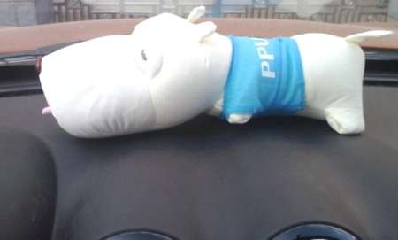 ตุ๊กตาขจัดกลิ่นในรถยนต์  ตุ๊กตาฟอกอากาศในรถยนต์  รุ่น CT-301 (สีเเดง)