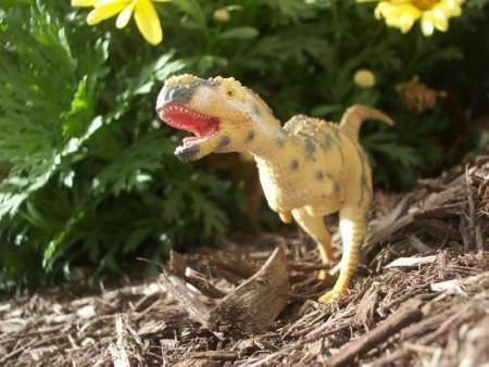 CollectA : CLA88555* โมเดลไดโนเสาร์ Rajasaurus Dinosaur Toy