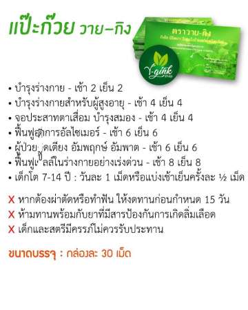 Y-Gink Ginkgo Biloba วาย-กิ้ง กิงโกะ บิโลบา ใบแป๊ะก๊วยสกัด เสริมสร้างความจำและบำรุงสมอง (3 กล่อง)