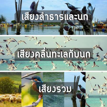 HHsociety นาฬิกา นาฬิกาปลุก นาฬิกาปลุกปรับแต่งเสียงธรรมชาติ 6 เสียง