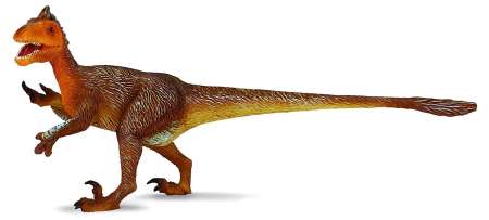 พบแล้ว CollectA : CLA88510* โมเดลไดโนเสาร์ Utahraptor fixgure
ขายสินค้ายอดนิยม