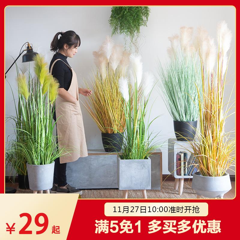 Qimo Mô Phỏng Thực Vật Cây Bông Lau Quy Mô Lớn Trong Chậu Con Chó Đuôi Hành Tây Cỏ Giả Cattail Rơi Xuống Đất Cây Xanh Bắc Âu Đồ Dùng Gia Đình Vật Trang Trí