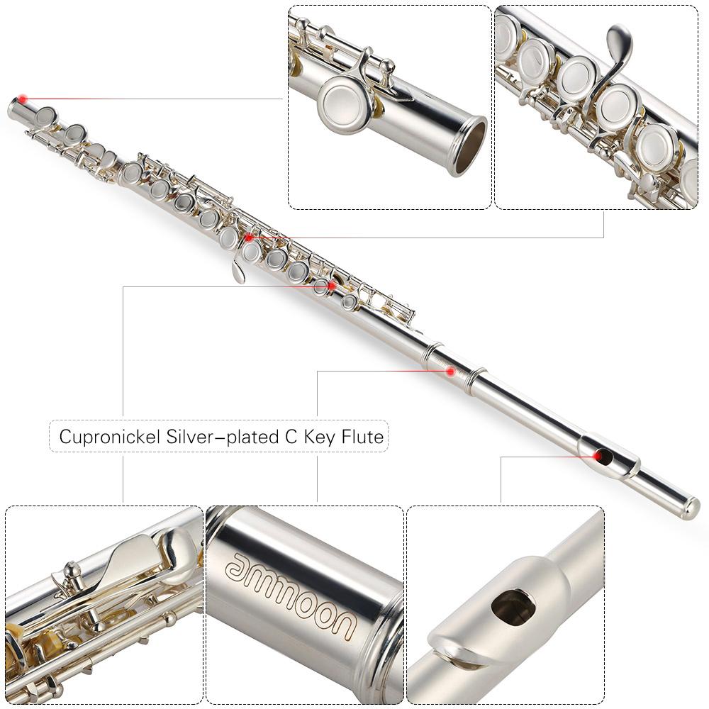 High Quality Flute Cupronickel Silver Plated 16 Closed Holes C Key with ...