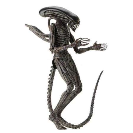 Figure ฟิกเกอร์ Anime เอเลี่ยน Alien ของสะสมหายาก อนิเมะ การ์ตูน มังงะ คอลเลกชัน จากการ์ตูนดังญี่ปุ่น ( New Collection ) ตุ๊กตาน่ารัก manga