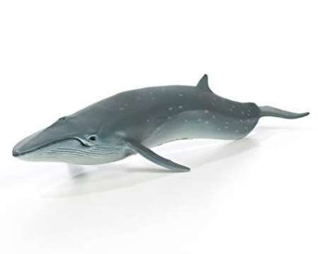 Safari Ltd. : SFR100098 โมเดล Sei Whale
