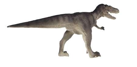 SAFARI LTD : SFR404401# โมเดลไดโนเสาร์ Carnegie Albertosaurus 