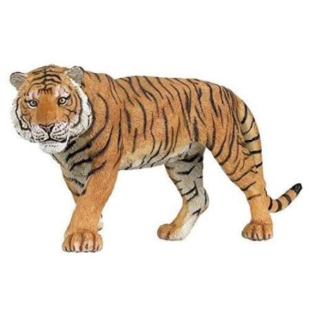 เสนอสินค้าถูกมาก PAPO : PPO50004* โมเดลเสือ Tiger Figure ราคากลาง