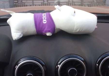 สเปรย์น้าหอมปรับอากาศ ตุ๊กตาดูดกลิ่นในรถ Car Cartoon Air Charcoal Bag Cute Dog (purple)