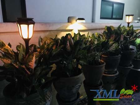 โคมไฟติดผนัง โซล่าเซลล์ กิ่ง 9 SMD LED สีดำ(เเสง : เหลืองวอมไวท์)