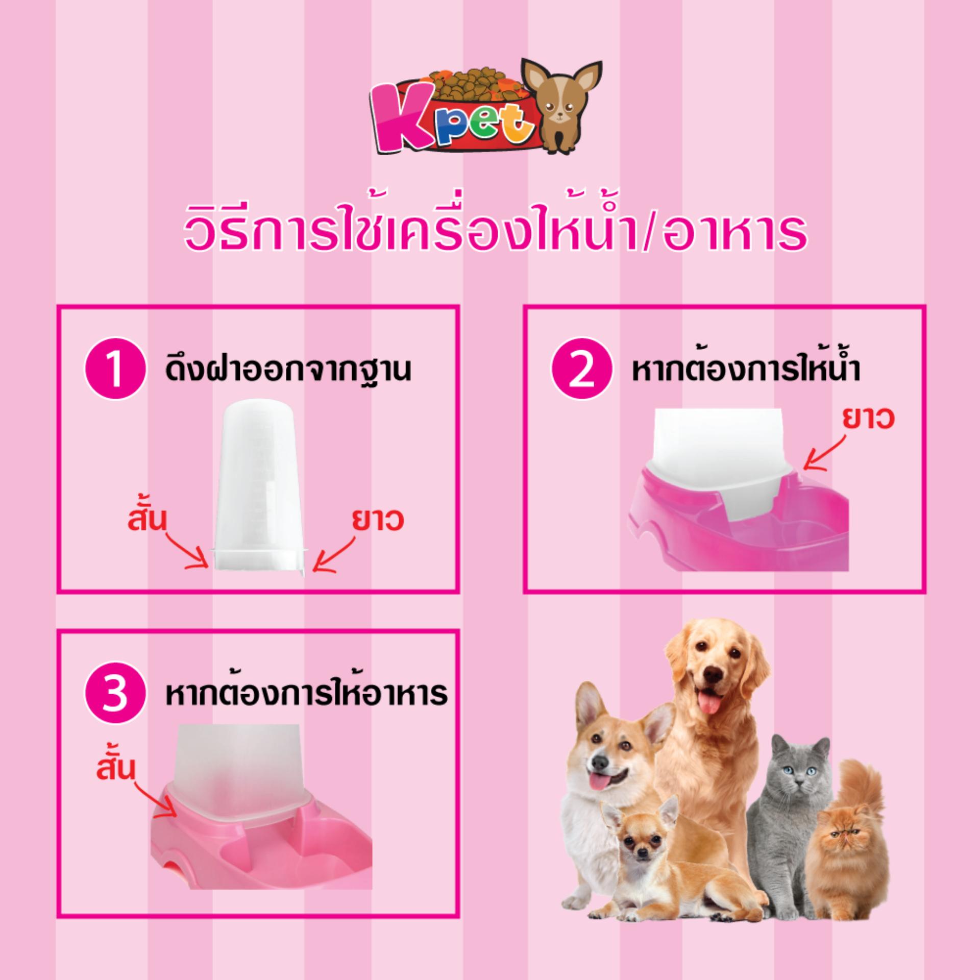 pet-feeder-2-in-1