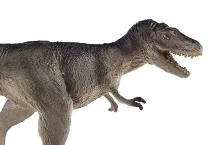 SAFARI LTD : SFR404401# โมเดลไดโนเสาร์ Carnegie Albertosaurus 