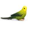 Safari Ltd. : SFR150429 โมเดลสัตว์ Green Budgie