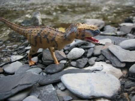 CollectA : CLA88555* โมเดลไดโนเสาร์ Rajasaurus Dinosaur Toy