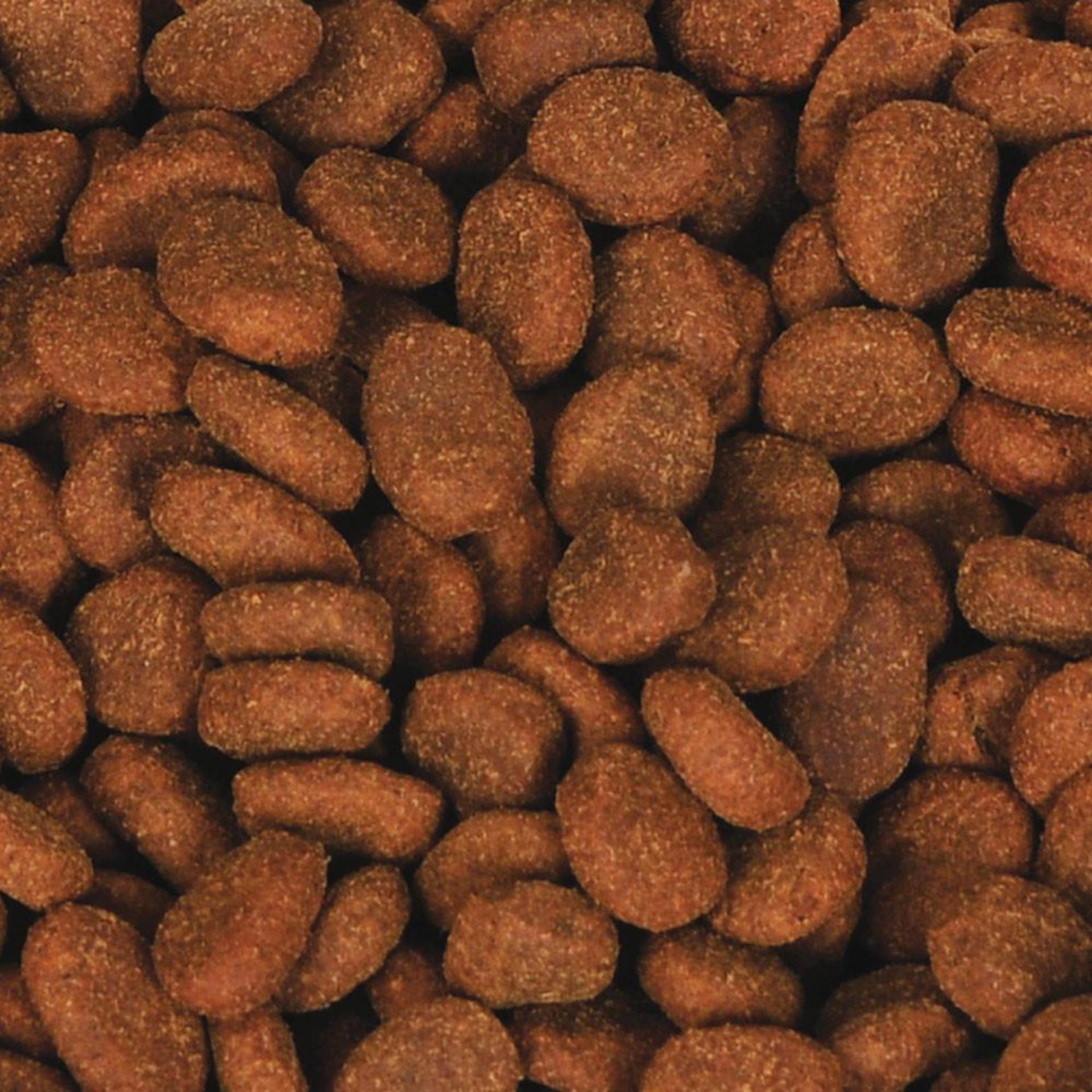 Orijen Puppy Food Recall: Impact On Health And Precautions For Pet Owners