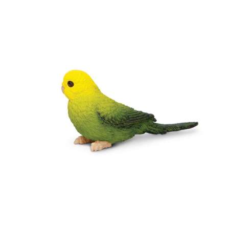 Safari Ltd. : SFR150429 โมเดลสัตว์ Green Budgie
