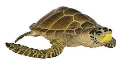 Safari Ltd. : SFR220229 โมเดลสัตว์ Loggerhead Turtle