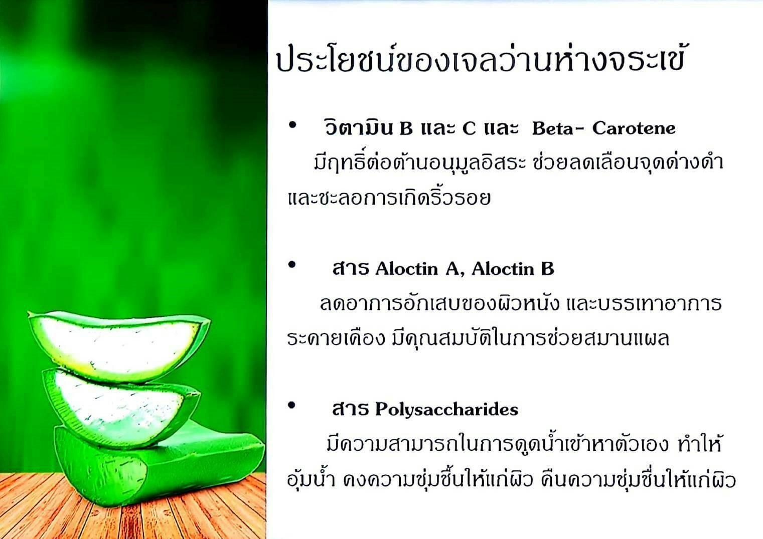 รีวิว Vitara Aloe Vera After Sun Gel 100 120 g. ไวทาร่า อโลเวร่า ว่าน