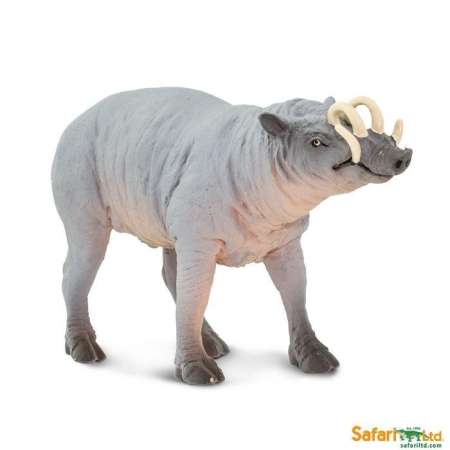Safari Ltd. : SFR100102 โมเดลสัตว์ Babirusa