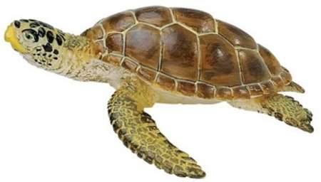 Safari Ltd. : SFR220229 โมเดลสัตว์ Loggerhead Turtle