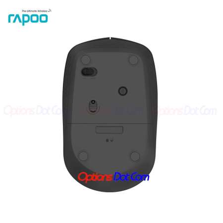 RAPOO Wireless Mouse-M100