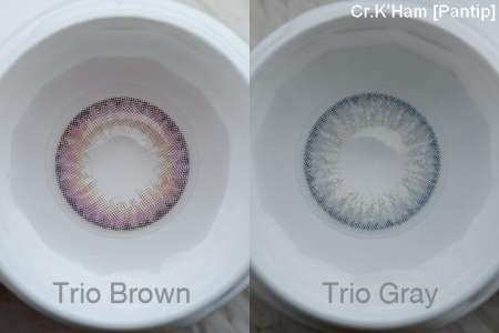 Maxim Contact Lens รุ่น Trio กล่องน้ำเงิน [-1.75]