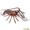 Safari Ltd. : SFR100076* โมเดลสัตว์ Spiny Lobster