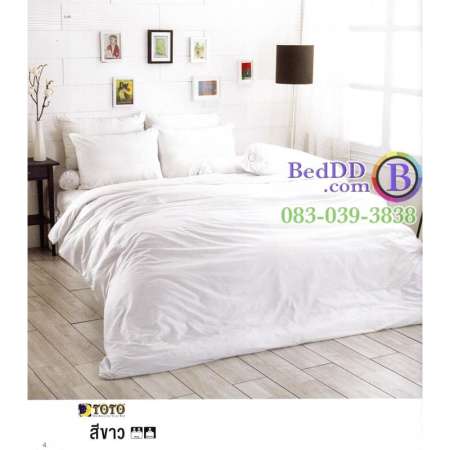 ราคาประหยัด TOTO ชุดเครื่องนอน เฉพาะผ้าปูที่นอน 3.5 ฟุต สีขาว TT-WHITE
สินค้าใหม่ราคาถูก
