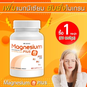 ภาพหน้าปกสินค้า🔥 ส่งฟรี! ส่งไว 🔥 MS Magnesium Plus แมกนีเซียม และวิตามิน B1 B6 B12 ป้องกันไมเกรน บำรุงระบบประสาท 1 กระปุก [60 แคปซูล] ที่เกี่ยวข้อง