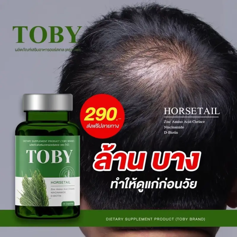 ภาพสินค้ามีปลายทาง โทบี้หางม้า โทบี้หญ้าหางม้า วิตามินลดผมร่วง Toby Horsetail ผมบาง หัวล้าน ผมร่วงหลังคลอด กระตุ้นการเกิดผมใหม่ จากร้าน Jamsaibyzeleb บน Lazada ภาพที่ 6