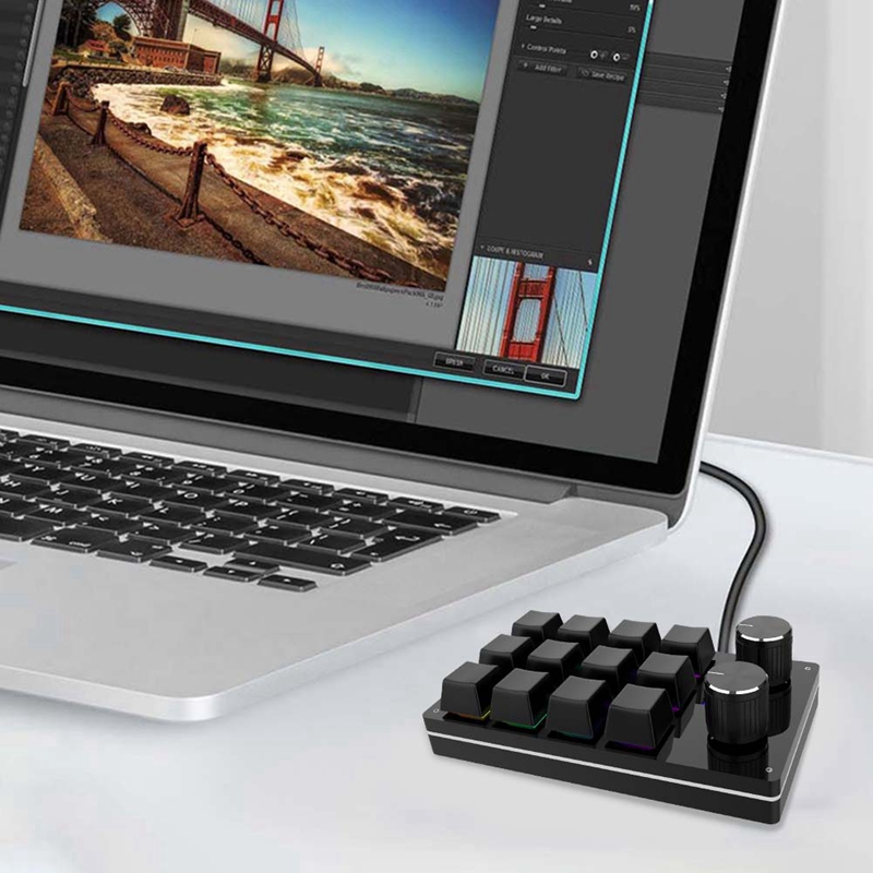 USB Macro Mini Keyboard 12 Keys 2 Knob Programming Keypad Hot-Swap Customization Gaming Mechanical Keyboard