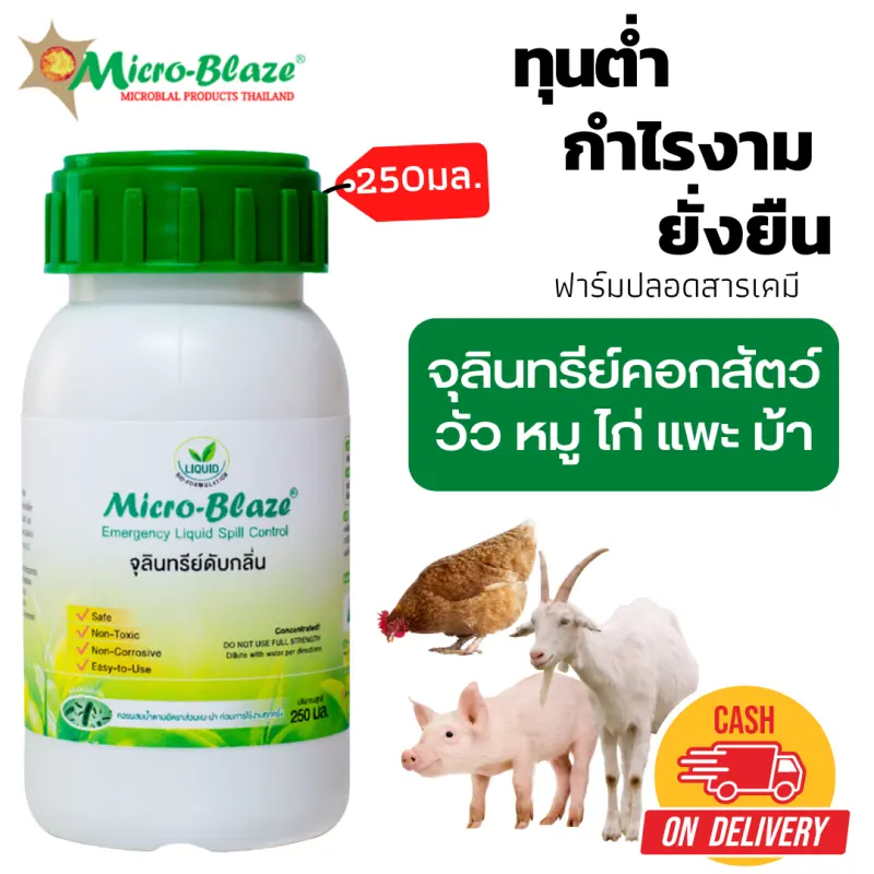 ภาพสินค้าMicro-Blaze ELSC 250 มล. จุลินทรีย์ดับกลิ่นเหม็น คอกสัตว์ วัว หมู ไก่ แพะ ม้า ลดแมลงวัน และป้องกันโรคในสัตว์ จุลินทรีย์รักษาสัตว์ จากร้าน Micro-Blaze บน Lazada ภาพที่ 1