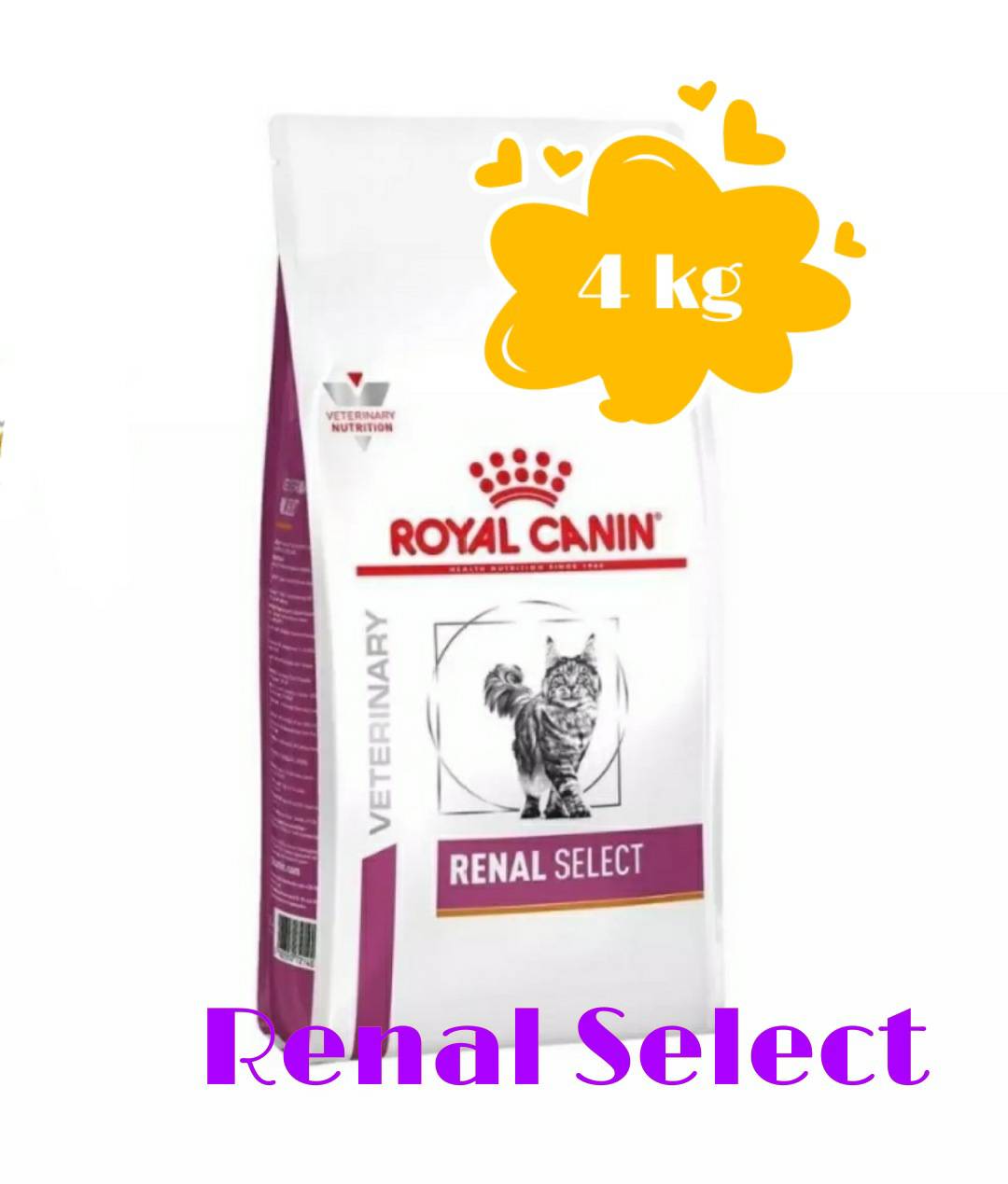 Royal Canin Renal Select Feline อาหารแมว ขนาด 4 kg 