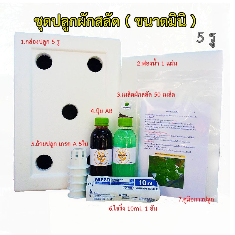 My Image 49