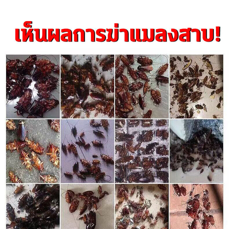 เหยื่อแสนอร่อย ติดต่อตาย กำจัดแมลงสาบ DAHAO10ซอง แมลงสาบ กำจัด 100ฆ่า ...