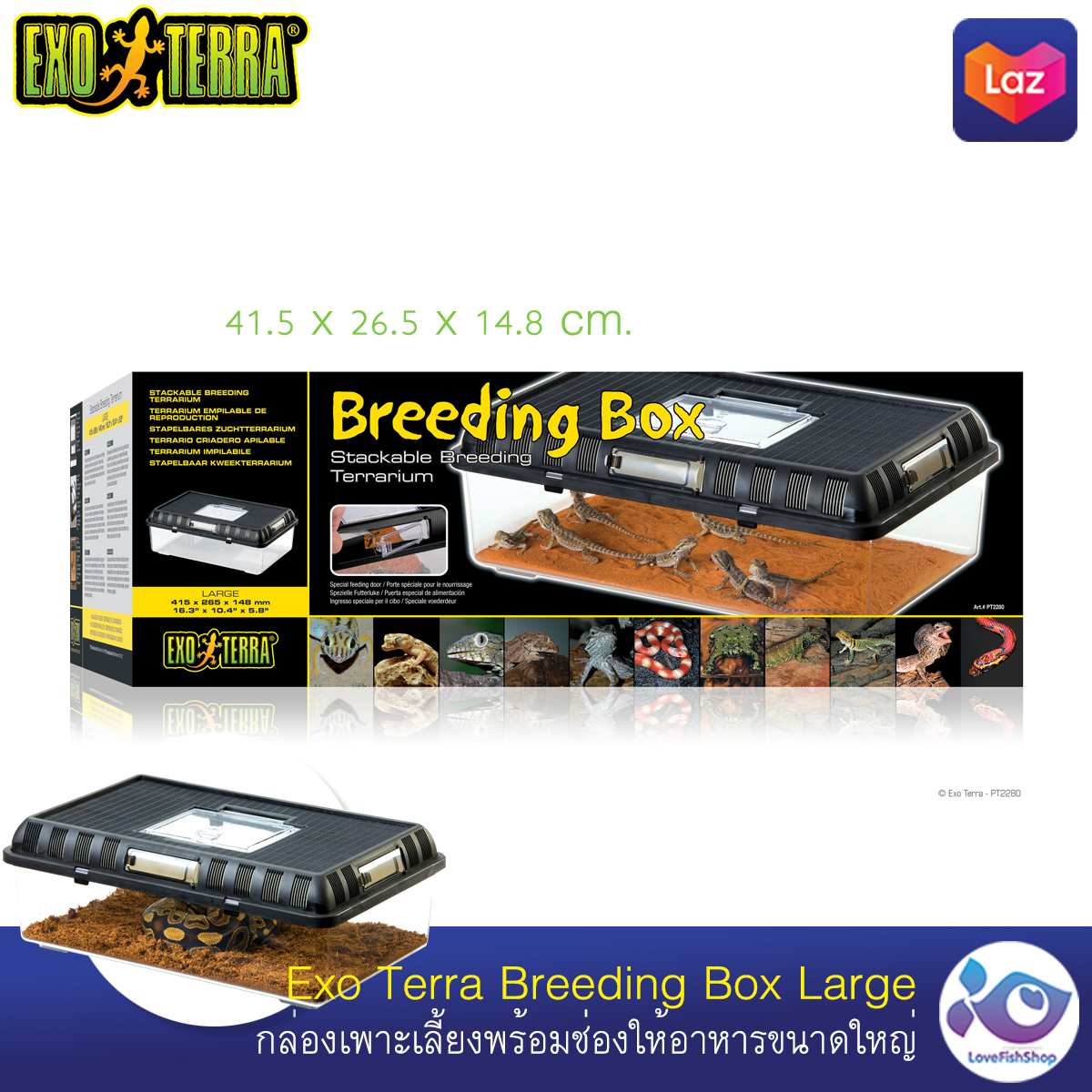 กล่องเพาะเลี้ยง Exo Terra Breeding Box Large ราคา 950 บาท