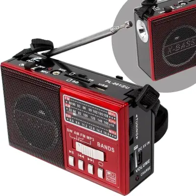 Telecorsa วิทยุ AM/FM PAE PL-001 2U (คละสี) มีไฟฉาย รุ่น PL-001-2U-06A-song