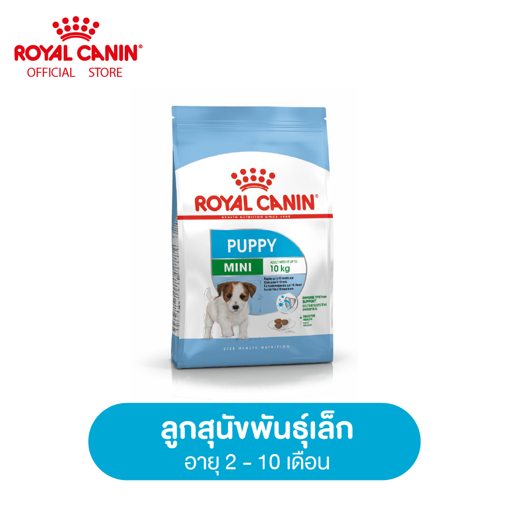 Royal Canin Mini Puppy โรยัล คานิน อาหารลูกสุนัข พันธุ์เล็ก อายุ 2-10 เดือน (Dog food, อาหารเม็ดสุนัข)