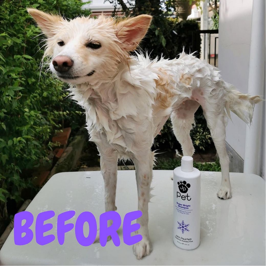 John Paul Pet แชมพูสัตว์เลี้ยงสูตรขนขาว SUPER BRIGHT SHAMPOO แชมพูหมา