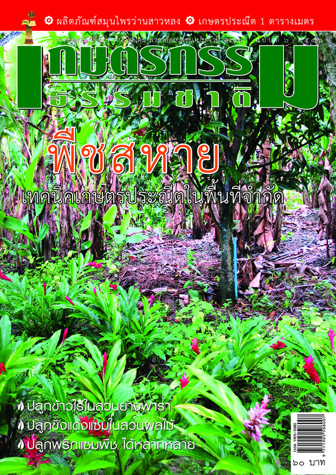 วารสารเกษตรกรรมธรรมชาติ ฉบับที่ 6/2556 พืชสหาย เทคนิคเกษตรประณีตในพื้นที่จำกัด
