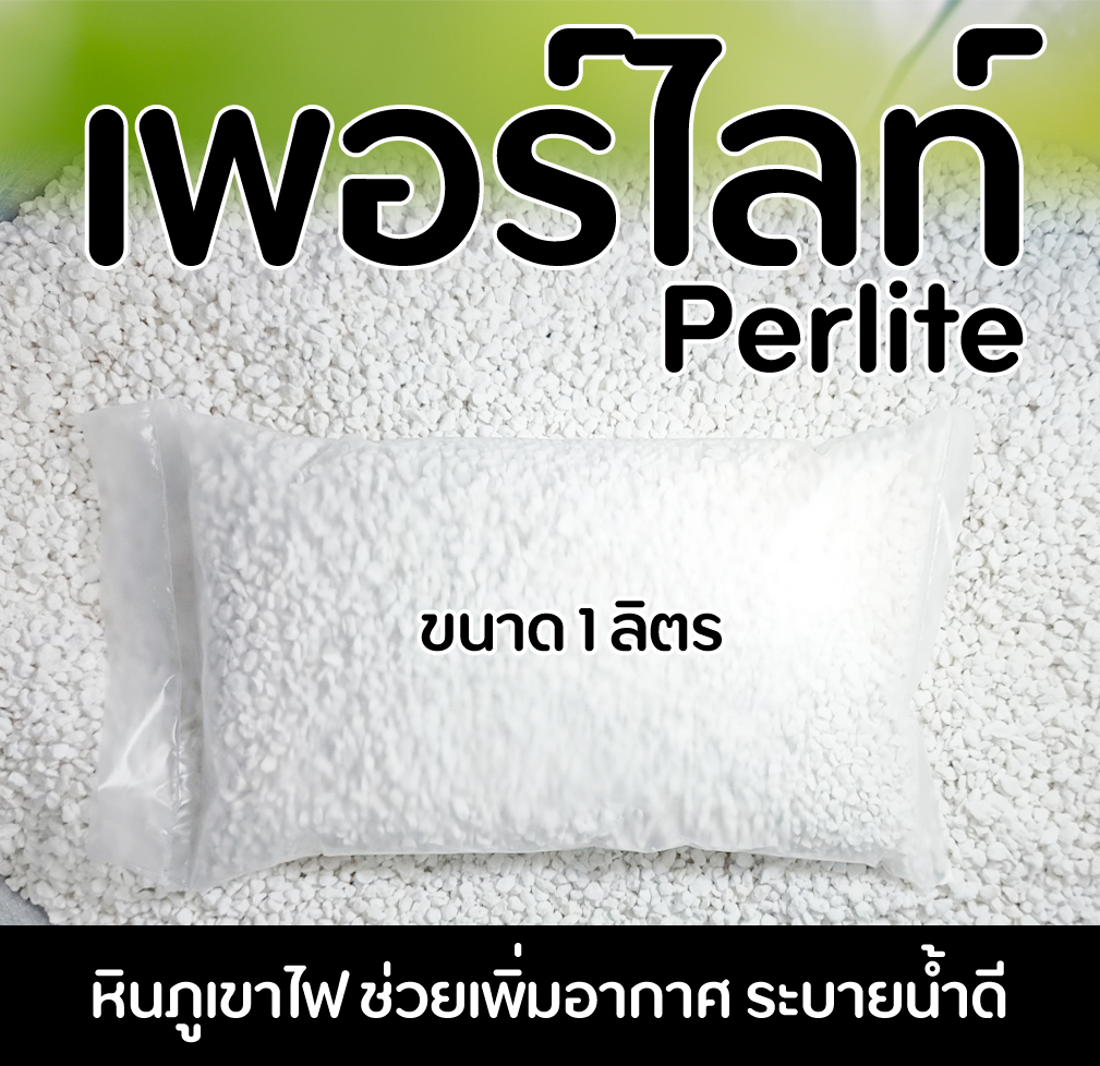 ( Perlite ) เพอร์ไลท์ หินภูเขาไฟ เพิ่มอากาศ ระบายน้ำดี วัสดุปลูก ขนาดบรรจุ 1 ลิตร