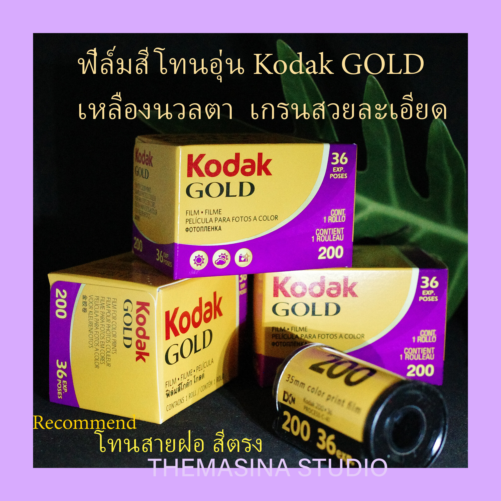 ฟิล์มถ่ายรูป KodakGOLD (36รูป) ฟิล์มสี ฟิล์มใหม่ แท้100% ฟิล์มกล้องฟิล์ม ฟิล์มโกดักโกลด์ Film Kodak Gold ISO200 Film35mm ฟิล์ม ฟิมถ่ายรูป กล้อง Analog Film Camera MASINA