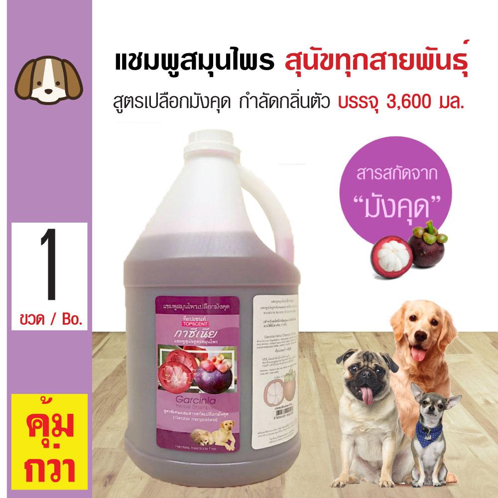 My Image 11