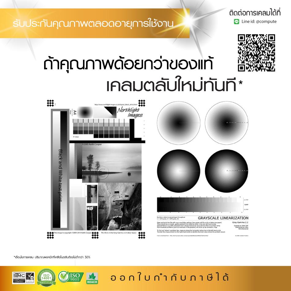 My Image 102
