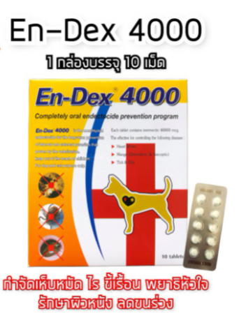 En dex 4000 เอนเดกซ์ 4000