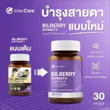 ภาพขนาดย่อของภาพหน้าปกสินค้าInterCare Bilberry extract plus สกัดจาก บิลเบอร์รี่และลูทีน บำรุงสายตา ช่วยในการมองเห็น บรรเทาตาแห้ง ตาล้า ตาพร่ามัว ( 1 กระปุก 30 แคปซูล ) จากร้าน อินเตอร์แคร์ วิตามิน บน Lazada