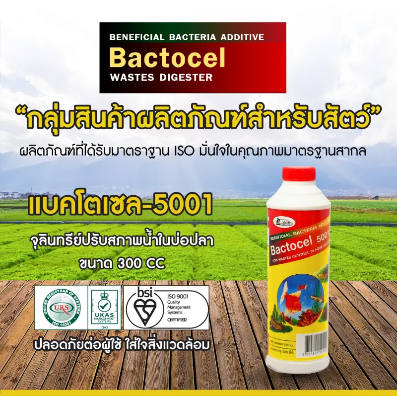 ภาพหน้าปกสินค้าแบคโตเซล BACTOCEL 5001 300cc 1 ขวด รักษาน้ำในบ่อน้ำใส น้ำมีกลิ่นเหม็น จุลินทรีย์รักษาสภาพน้ำในบ่อปลา ป้องกันโรค น้ำขุ่น นำเขียว จากร้าน MICRO-BIOTEC Thailand. บน Lazada