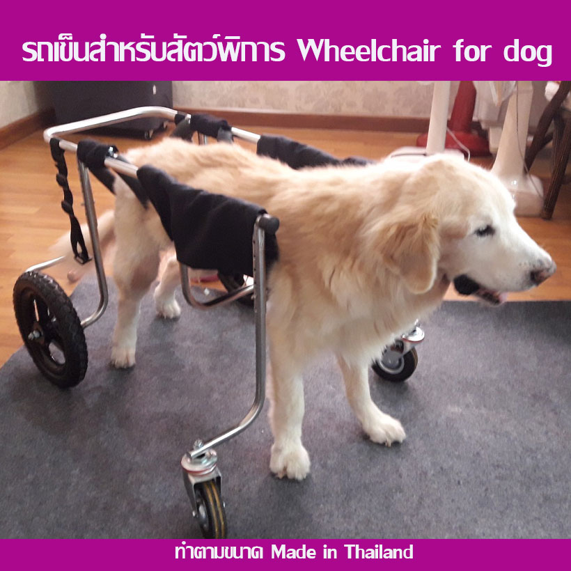 wheelchair4dog รถเข็นสำหรับสัตว์พิการแบบ 4 ล้อ dog wheelchairล้อเลื่อนสำหรับสุนัขพิการ หรือสัตว์ที่มีอาการอัมพฤกษ์ อายุมาก อ่อนแรง(ทักแชททุกครั้ง)